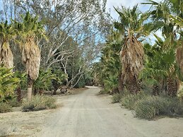 Bubbling Wells Oasis