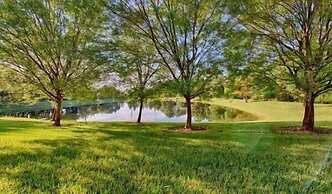 Emerald_island_8515n