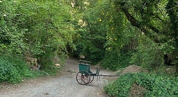 Guyscliffe Farm Holiday Lets