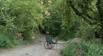 Guyscliffe Farm Holiday Lets