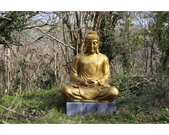 Guyscliffe Farm Holiday Lets