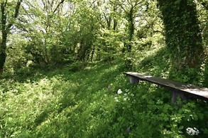 Guyscliffe Farm Holiday Lets