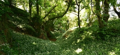 Guyscliffe Farm Holiday Lets