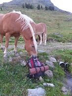 Hotel Pension Seighof in Saalbach