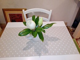 Old Town Economy Apartments