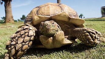 Ryugujo Spa Hotel Mikazuki Ryugutei