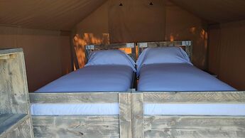 Camping las Gaviotas