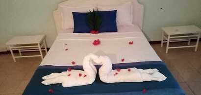 Le Palms Tree Garden Hôtel & Spa