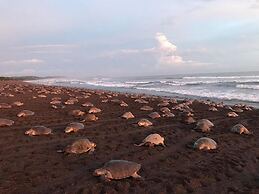 Well-decorated 3rd-floor unit with unique designs and mountainview in 