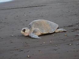 Well-decorated 3rd-floor unit with unique designs and mountainview in 
