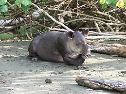 Nicely Decorated Ground-floor Unit in Front of Pool at Pacifico in Coc