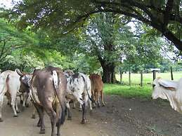 Nicely Priced Duplex in Surfside With Private Pool and AC in Every Roo