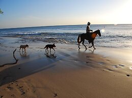 Luxury Ocean-view Flamingo Home Sleeps 10 - Walk to Beach