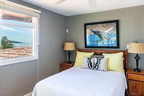 Luxury Ocean-view Flamingo Home Sleeps 10 - Walk to Beach