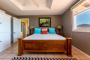 Luxury Ocean-view Flamingo Home Sleeps 10 - Walk to Beach