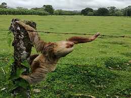 Luxury 4th-floor Suite With Pool and Endless Ocean Views
