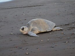 Modern, Immaculate Unit in Flamingo With Spectacular Ocean Views