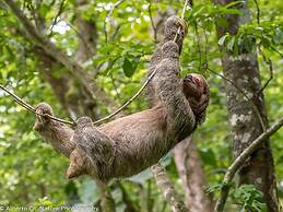 Charming Unit With Pool Sleeps 4 - Walk to Brasilito Beach