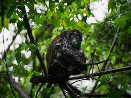 Dazzling End Unit in Coco With Lots of Windows and Light Sleeps 8