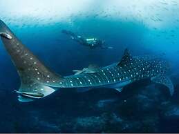 Impressively Designed 3rd-floor Space Overlooking Pool in Coco