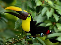 Nicely Priced Well-decorated Unit With Pool Near Beach in Brasilito