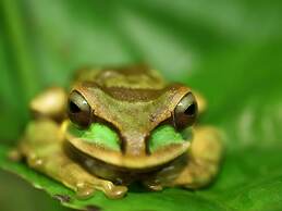 3rd-floor Space, Modern Decor, Recently Renovated, Overlooking Pool