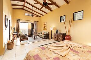 Luxury Flamingo villa with outdoor bar - pool and magnificent views