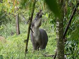 Nicely Decorated 3rd-floor Beauty With Pool-view Balcony in Coco