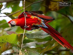 Nicely Decorated 3rd-floor Beauty With Pool-view Balcony in Coco