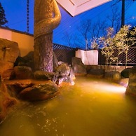 Yuya-Shofuen Spa Hotel