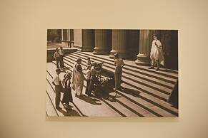 Cedofeita Back Garden