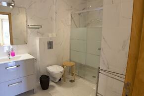 Cedofeita Back Garden