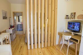 Cedofeita Back Garden