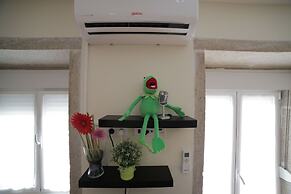 Cedofeita Back Garden