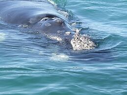Arniston Seaside Cottages