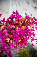 Shirahama Beach Garden