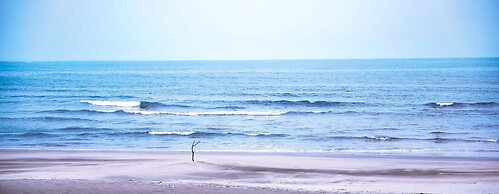 Shirahama Beach Garden