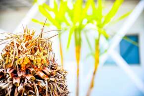 Shirahama Beach Garden