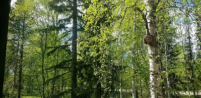 Kuukkeli Ivalo Arctic House