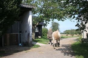 Teglgaarden bed and breakfast