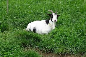 Waldschönau Gaisbacher