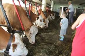 Waldschönau Gaisbacher