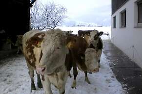 Waldschönau Gaisbacher
