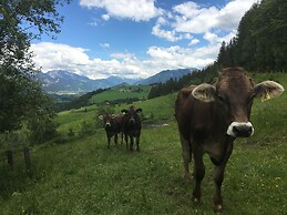 Schachneralm