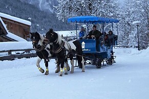 Sieglhub Hotel Apartments Chalet