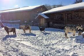 Sieglhub Hotel Apartments Chalet