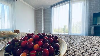 Byurakan Guest House