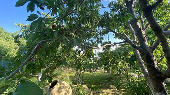 Byurakan Guest House