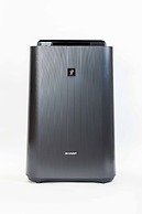 Bird Land in Shinsaibashi east