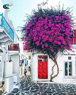 Anamnisi Mykonos